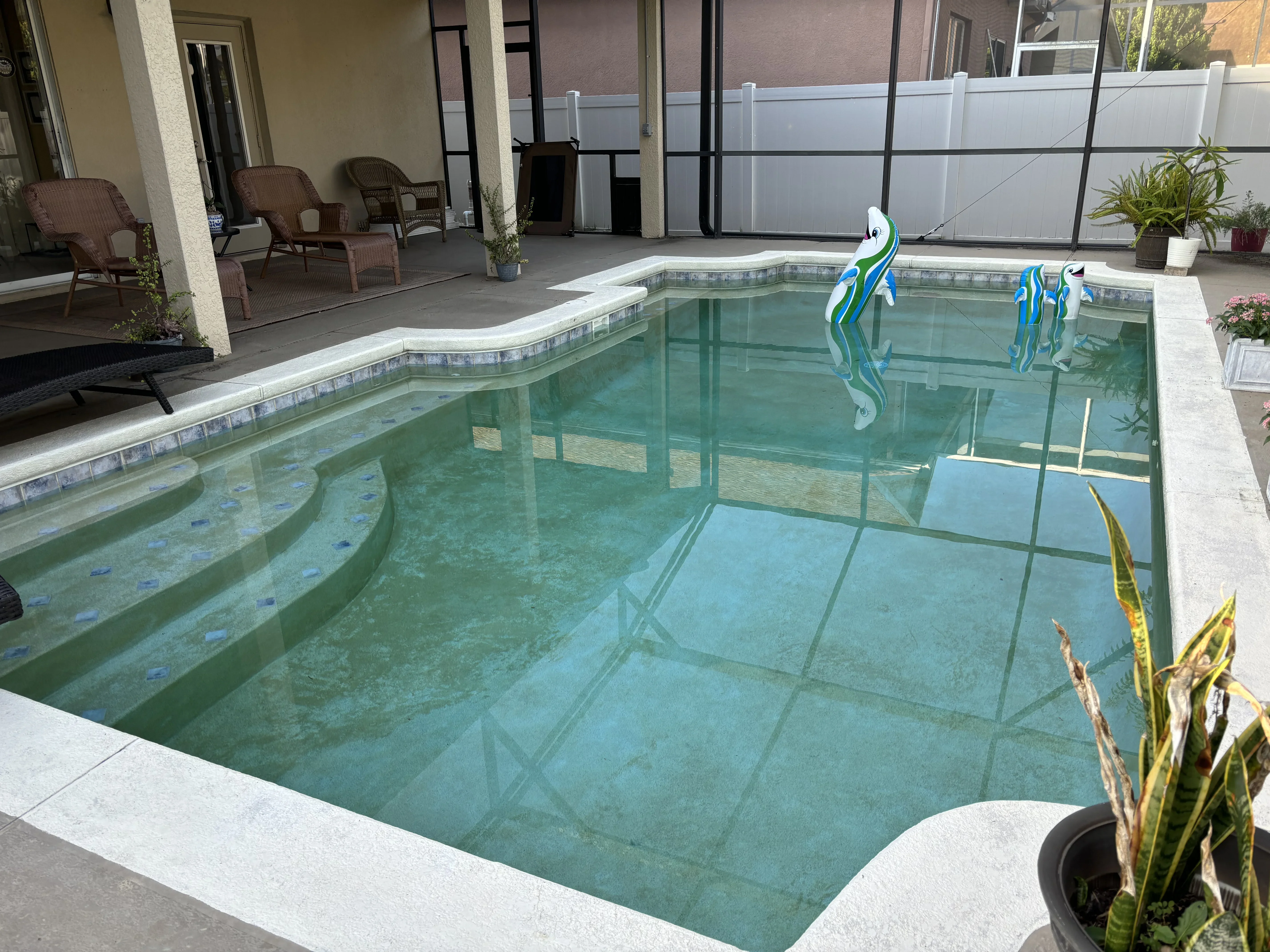 Drained pool with algae treatment, tile border, and concrete decking during maintenance
