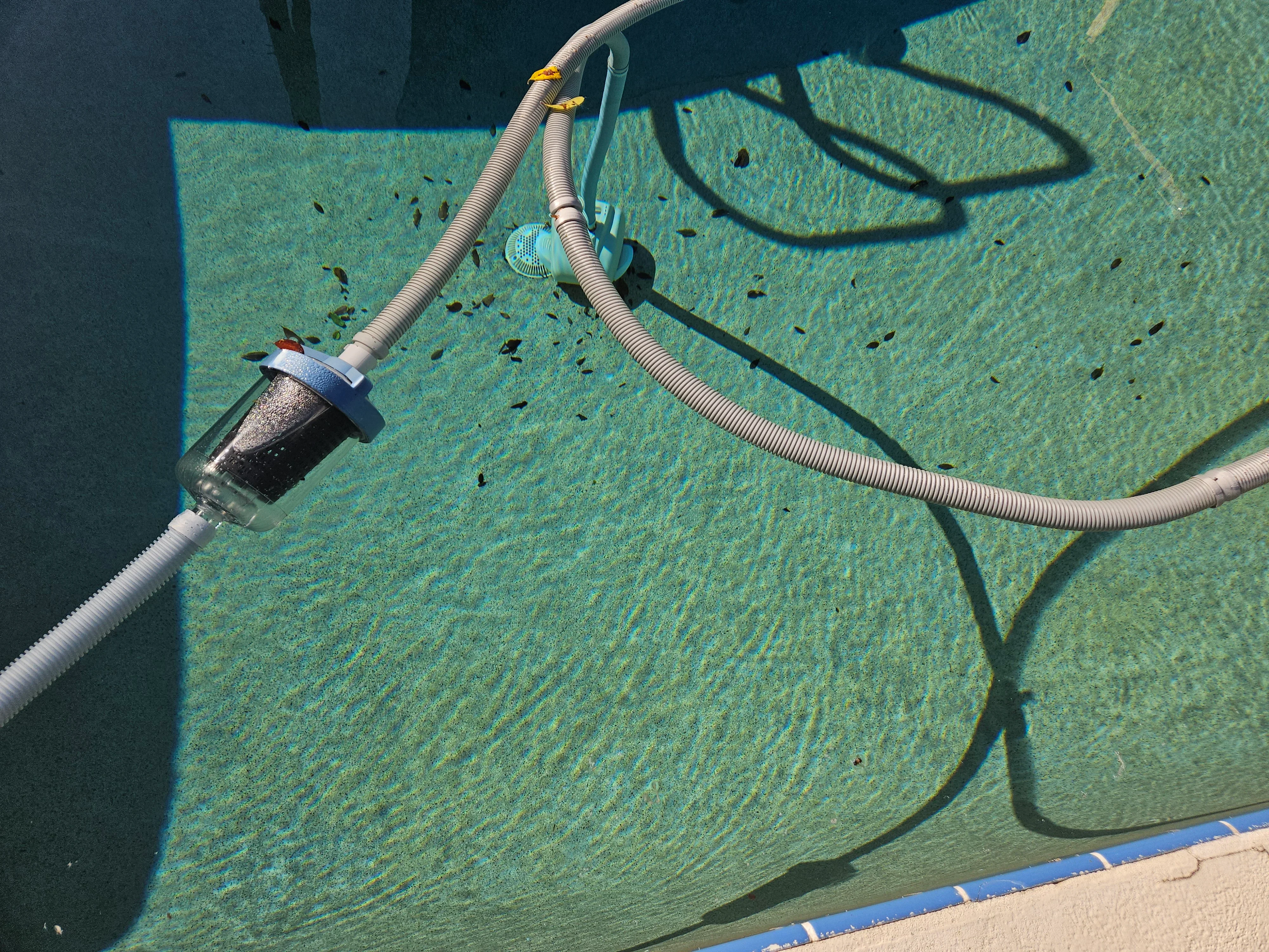 Pool floor cleaning with suction hose and filter basket removing debris from turquoise pool water